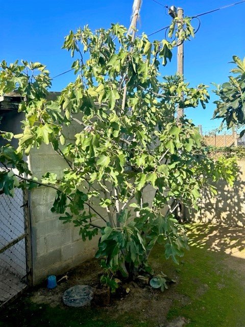 2 Bedroom Property for Sale in West Bank Western Cape